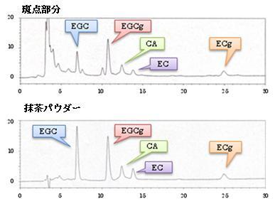 グラフ:斑点部分の分析結果と抹茶パウダーの分析結果の比較 カフェインや同種のカテキンが検出されていることがわかります。