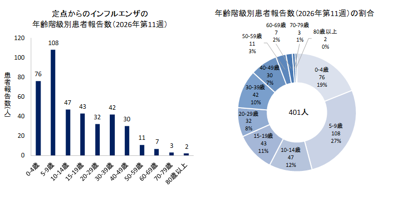 グラフ：定点からのインフルエンザの年齢階級別患者報告数と年齢階級別患者報告数の割合　2026年第11週のインフルエンザの50定点からの患者報告数は401人でした。
