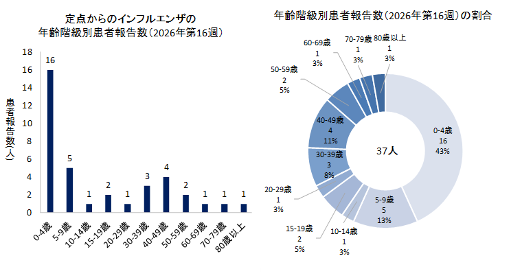 グラフ：定点からのインフルエンザの年齢階級別患者報告数と年齢階級別患者報告数の割合　2026年第16週のインフルエンザの50定点からの患者報告数は37人でした。