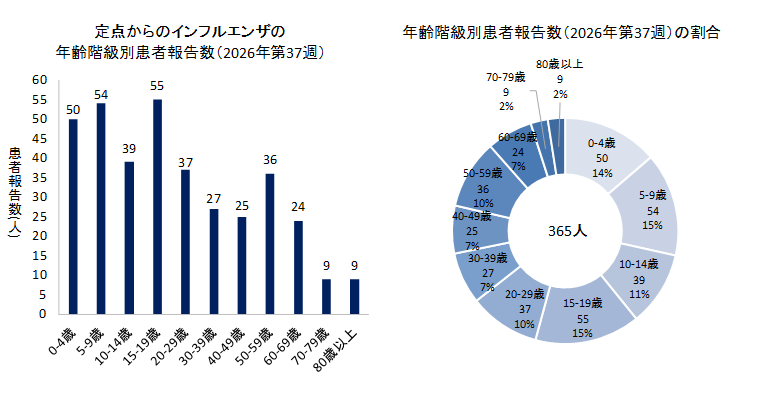 グラフ:定点からのインフルエンザの年齢階級別患者報告数と年齢階級別患者報告数の割合 2026年第37週のインフルエンザの50定点からの患者報告数は365人でした。