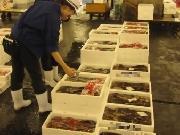 市場の監視指導の写真