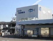 まぐろ低温卸売場の写真
