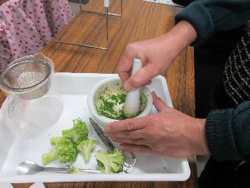 写真:DNAの講座2