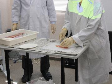 写真:鶏肉の実験の様子