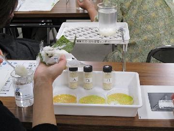 写真:おにぎりの実験の様子