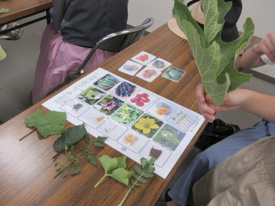 写真:種・葉・花・野菜を組み合わせるゲームをしています