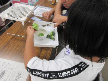 野菜や果物からDNAを取り出す実験の写真