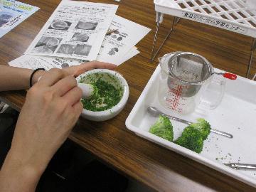 ブロッコリーを乳鉢ですりつぶしている写真