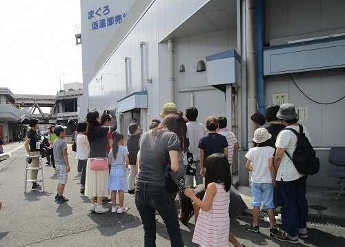 親子が市場内にある「まぐろ低温卸売場」を見学している写真