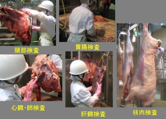 写真：解体後検査をしている検査員