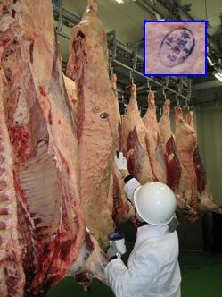 写真：検印を押している検査員