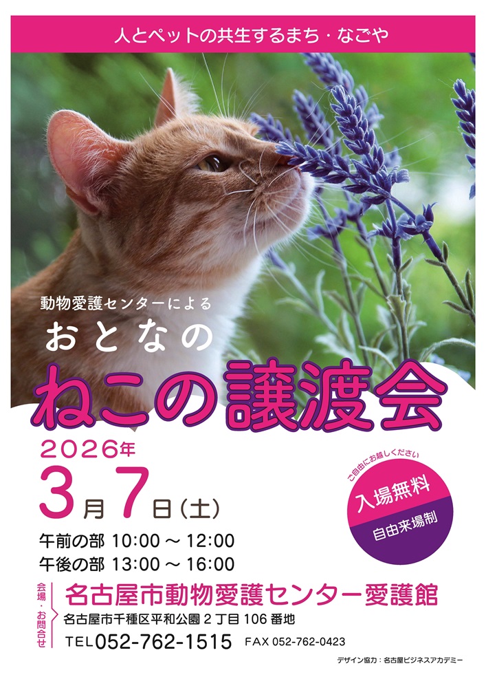 3月7日猫の譲渡会のポスターです
