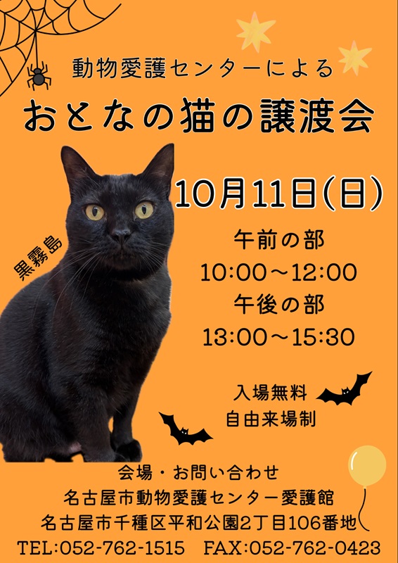 2026.10.11譲渡会のポスターです