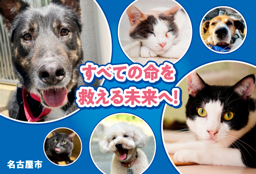 犬猫サポートプロジェクトのバナーデザイン、犬猫の画像