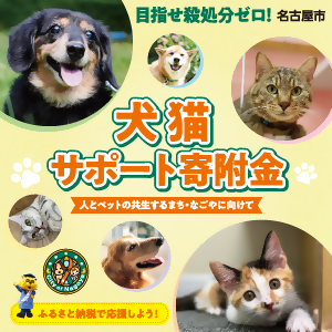 犬猫サポート寄附金をお知らせする犬と猫の写真