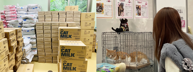 譲渡ボランティアへの支援物資と譲渡会の写真