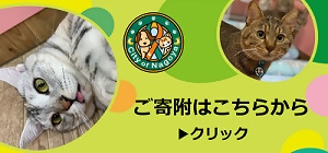 寄附を希望する方へのリンク案内バナー