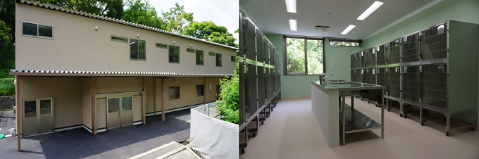 にゃごラーレの写真