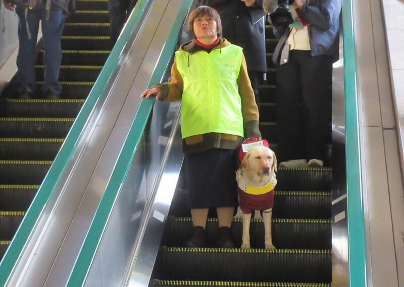盲導犬ユーザー