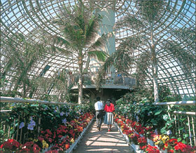 写真:温室内の様子