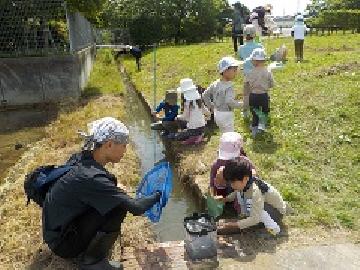 写真:草取りのかたわらで子供たちが生きものを採集する様子
