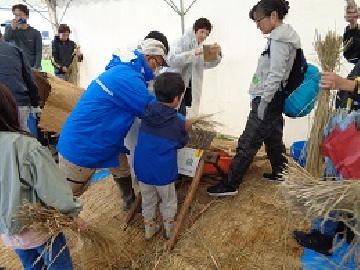 写真:千歯で脱穀する様子