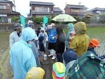 写真：草取りのかたわらで子供たちが生きものを採集する様子