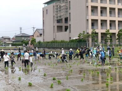 写真：参加者の皆さんの田植えの様子