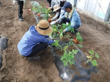 令和4年5月14日(土曜日) 参加者の皆さんが植付けをしている写真
