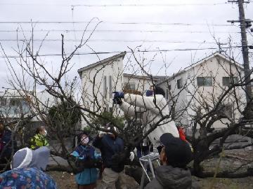 令和4年12月4日(日曜日) 参加者の皆さんが畑でせん定の実習を行っている写真