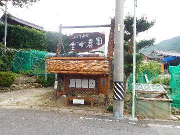 写真:金井農園入口