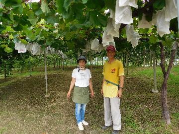 写真:直売所スタッフ