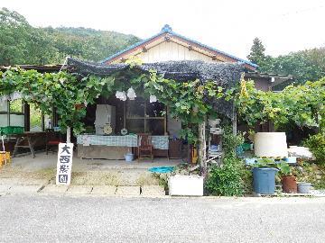 写真:大西農園直売所全景