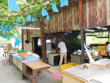 写真:大島農園直売所風景