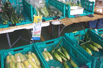 写真:名古屋みなと農園ストア2