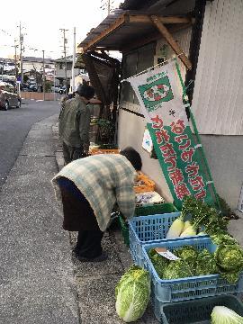写真:野並朝市の様子