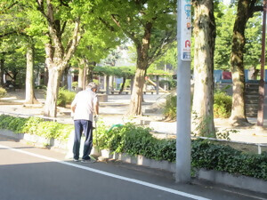 写真：活動の様子1