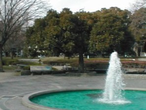 写真：千種公園