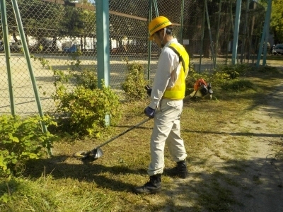 写真：草刈りの様子