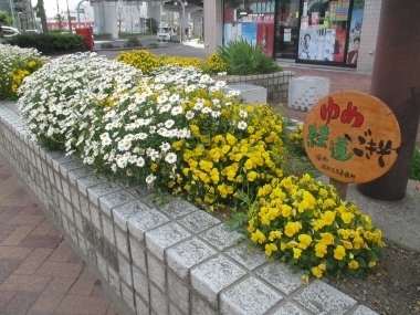 写真：ゆめ緑道ごきそ