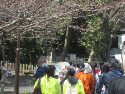 写真：八事里山づくりの会