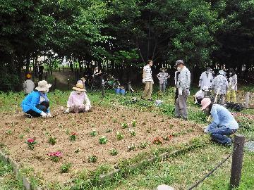 川名公園森づくり隊の写真