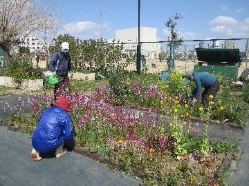 写真：花と緑のまちづくりなごやボランティアの会の写真
