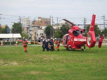 芝生広場の写真