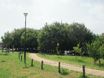 環境学習の森の写真