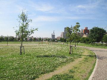 芝生広場の写真