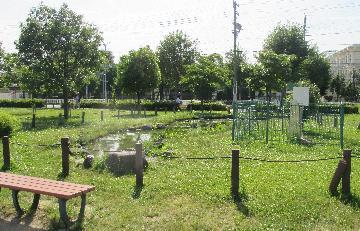 自然生態池（トンボ池）の写真