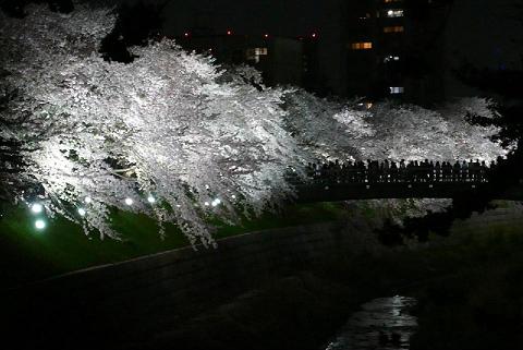 写真：鼎小橋（かなえこはし）を望む