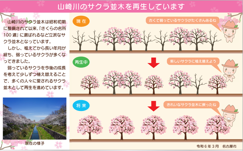 写真：山崎川桜並木の再生の看板