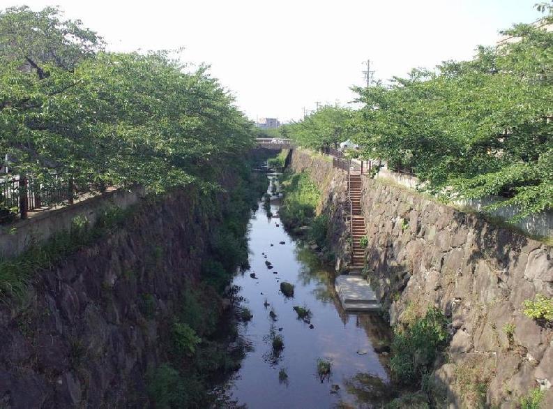 写真：可和名橋から石川橋の様子